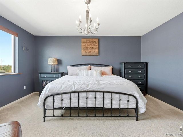 4854 Denys Drive, Timnath, CO 80547