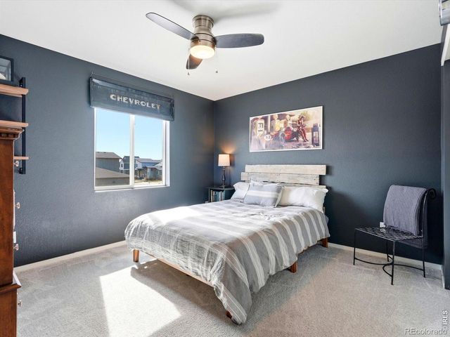 4854 Denys Drive, Timnath, CO 80547