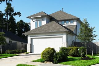 3130 Rising Fir Lane, Conroe, TX 77385