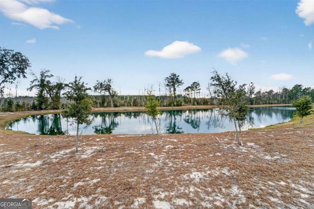 638 Logging Hill Drive, Richmond Hill, GA 31324
