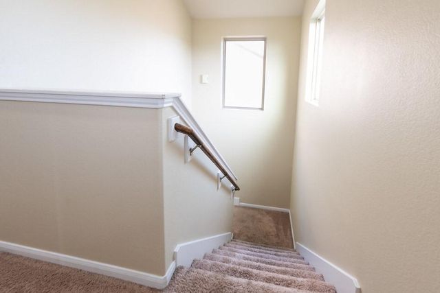 9408 Savannah Holly Drive, Houston, TX 77075