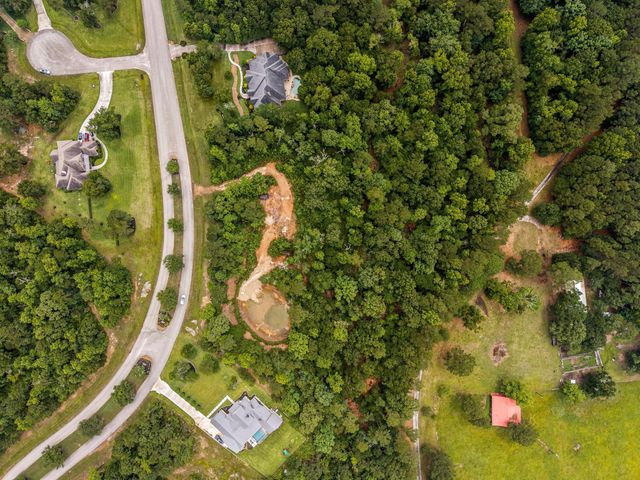 23510 High Meadow Estates Drive, Montgomery, TX 77316