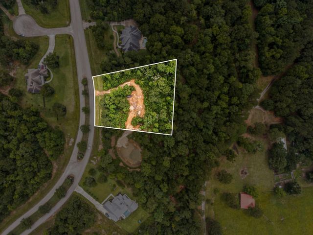 23510 High Meadow Estates Drive, Montgomery, TX 77316
