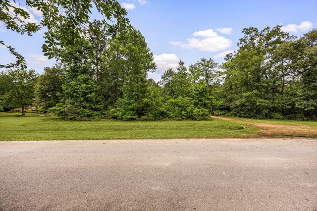 23510 High Meadow Estates Drive, Montgomery, TX 77316