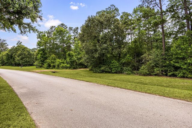 23510 High Meadow Estates Drive, Montgomery, TX 77316