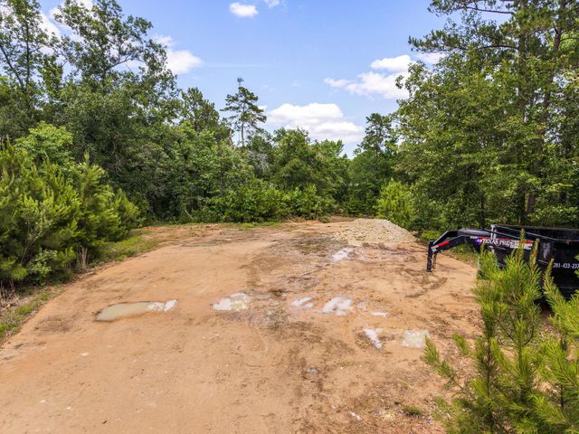 23510 High Meadow Estates Drive, Montgomery, TX 77316