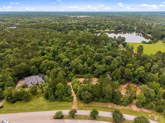 23510 High Meadow Estates Drive, Montgomery, TX 77316