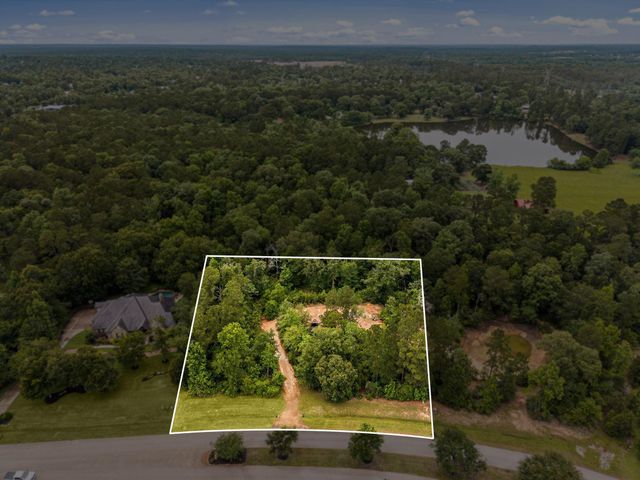 23510 High Meadow Estates Drive, Montgomery, TX 77316