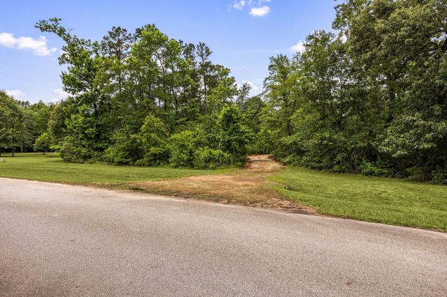 23510 High Meadow Estates Drive, Montgomery, TX 77316