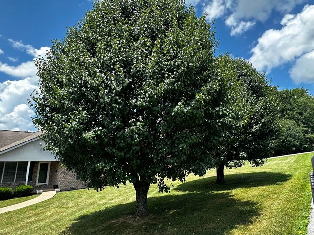 3046 Sunset Drive, Corbin, KY 40701