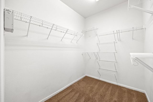 2329 Boulder RUN, Georgetown, TX 78626