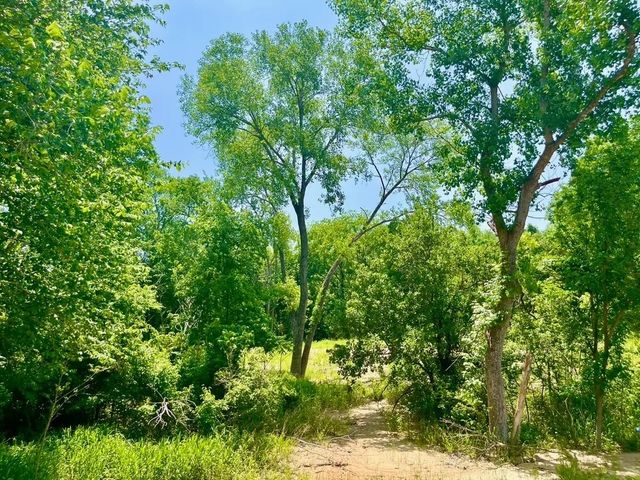 Lot 46 Antrim Court, Poolville, TX 76487