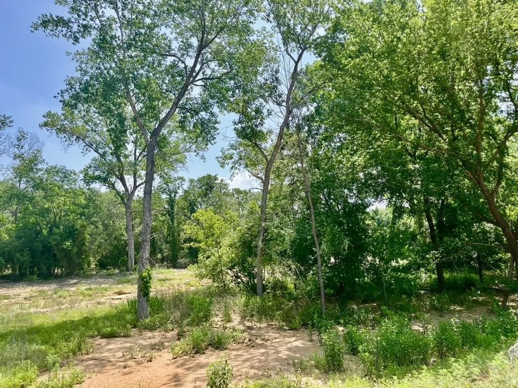 Lot 46 Antrim Court, Poolville, TX 76487