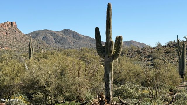 113 W BINGHAM Drive, New River, AZ 85087