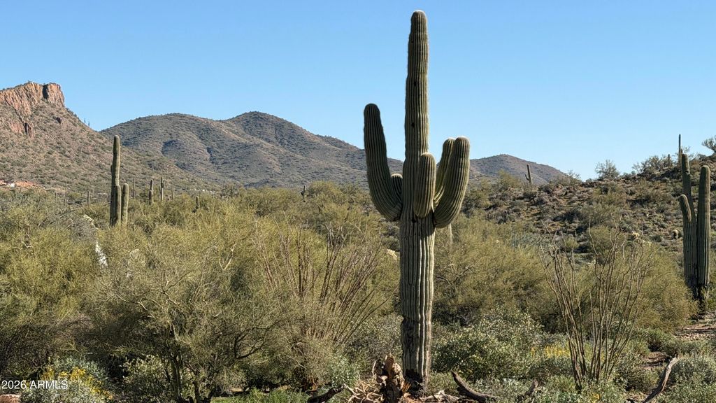 113 W BINGHAM Drive, New River, AZ 85087 — photo 4