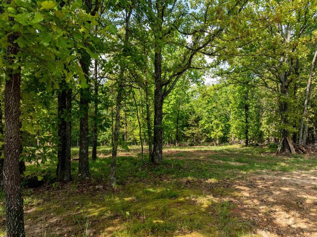 270 Dry Bone Rd, Ash Flat, AR 72513