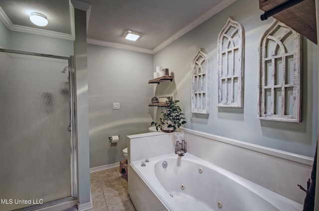320 Woodhollow Cove, Brandon, MS 39047