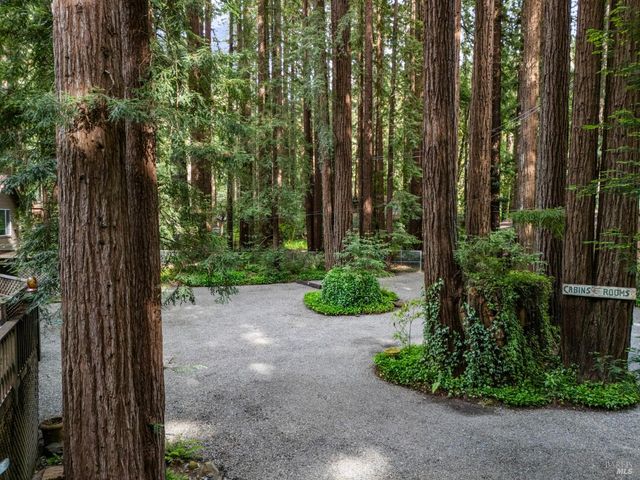 18 Wildwood Ln, Cazadero, CA 95421