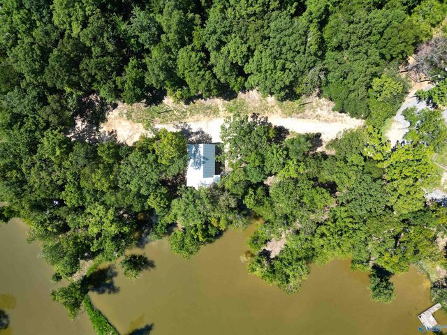86 County Road 182, Cedar Bluff, AL 35959