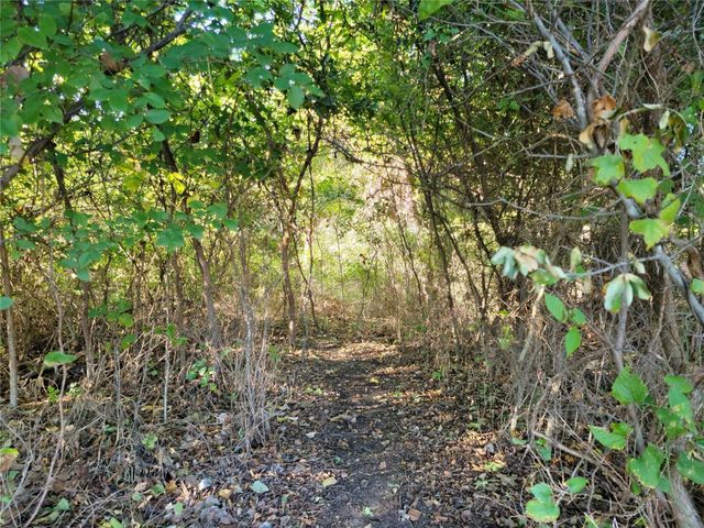 TBD Candis Court, Springtown, TX 76082
