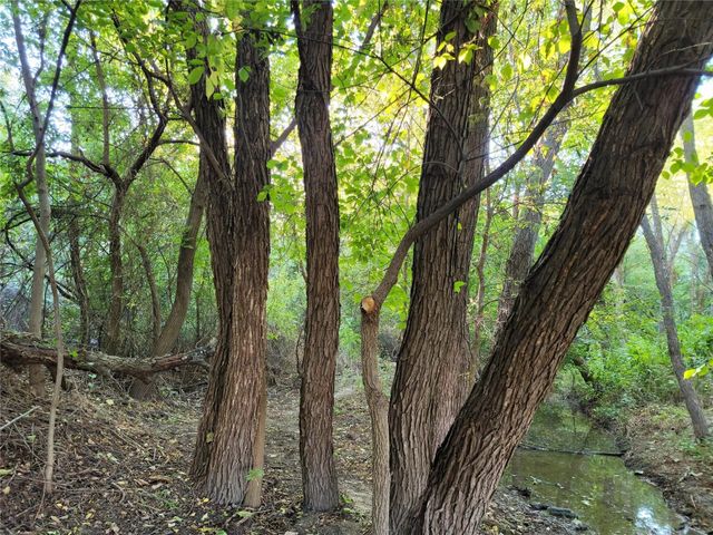 TBD Candis Court, Springtown, TX 76082