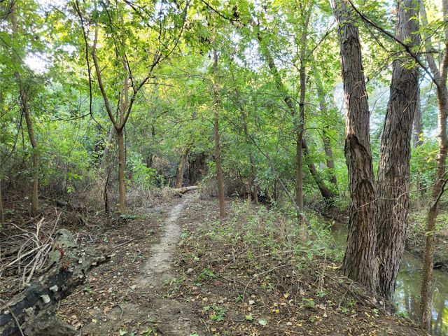 TBD Candis Court, Springtown, TX 76082