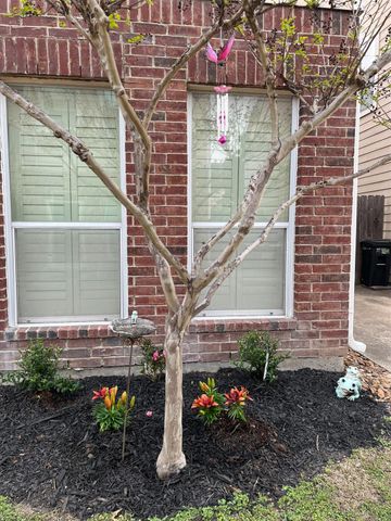 2211 Naomi Street, Houston, TX 77054