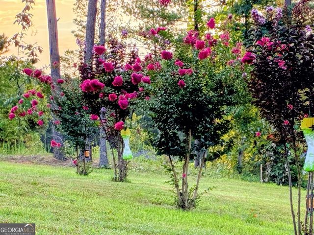 287 Bell Loop, Chatsworth, GA 30705