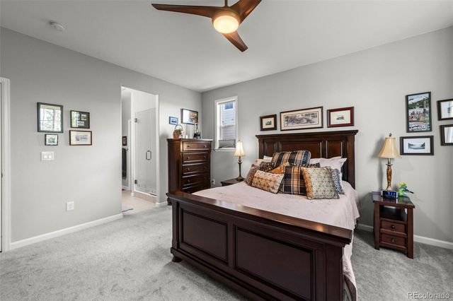 297 Mora Place, Erie, CO 80516