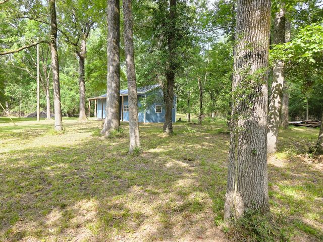 437 E Lumbermans Road, Onalaska, TX 77360