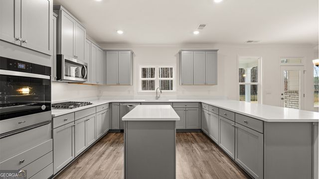 13262 TOLSTOY Drive, Covington, GA 30014