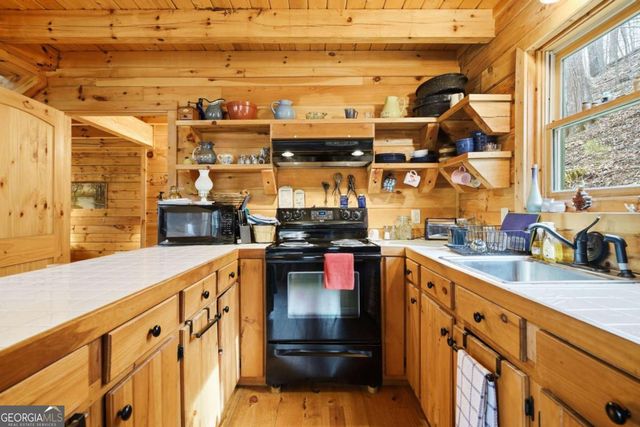 947 Skyview Drive, Ellijay, GA 30536