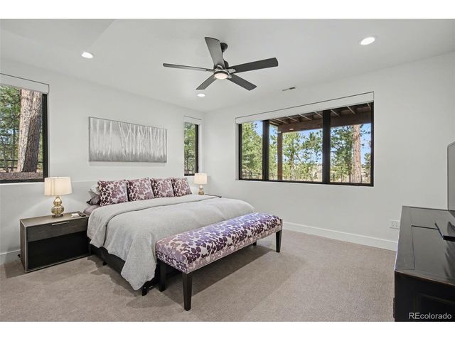 19125 Hilltop Pines Path, Monument, CO 80132