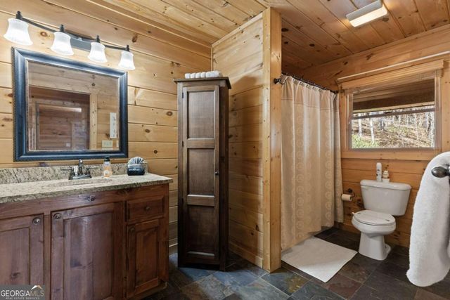 113 Dallas Lane, Blue Ridge, GA 30513