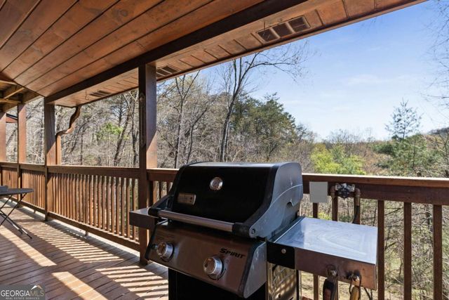 113 Dallas Lane, Blue Ridge, GA 30513