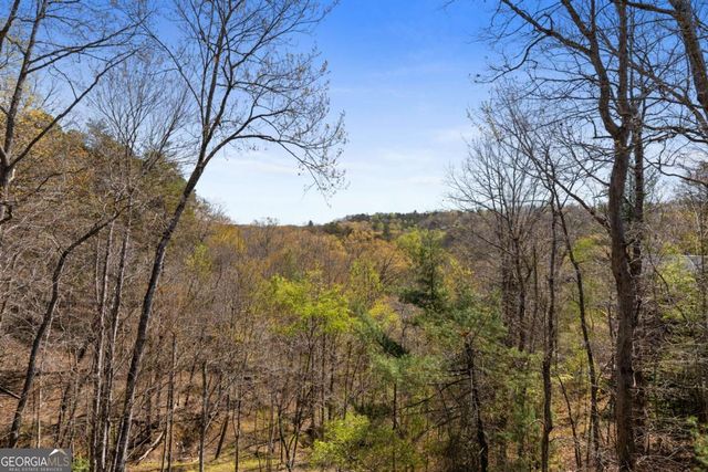 113 Dallas Lane, Blue Ridge, GA 30513
