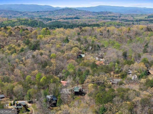 113 Dallas Lane, Blue Ridge, GA 30513