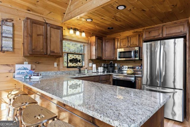 113 Dallas Lane, Blue Ridge, GA 30513