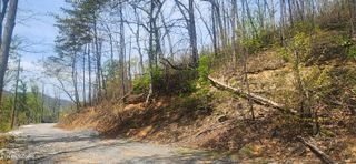 Lot 15 Headrick Lead, Sevierville, TN 37876