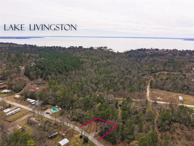 294 & 306 Impala Drive, Onalaska, TX 77360