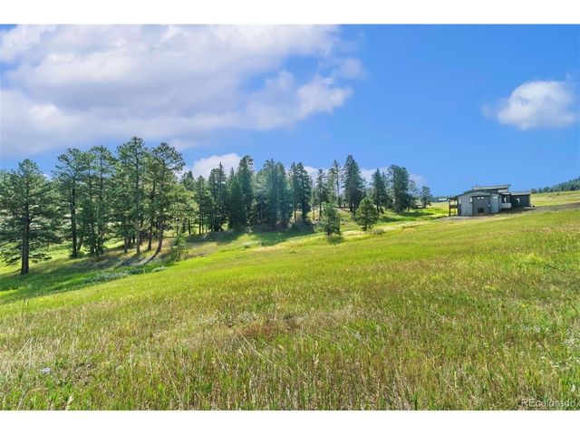 8066 Federation Dr, Morrison, CO 80465