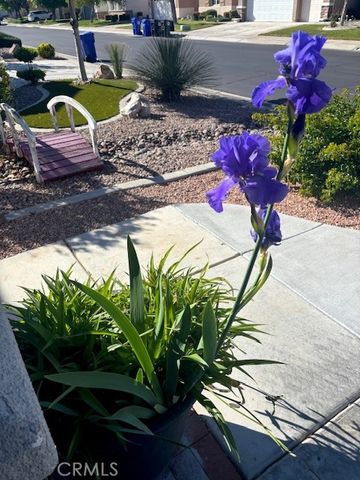 10812 Katepwa Street, Apple Valley, CA 92308