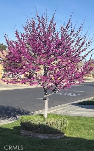 10812 Katepwa Street, Apple Valley, CA 92308