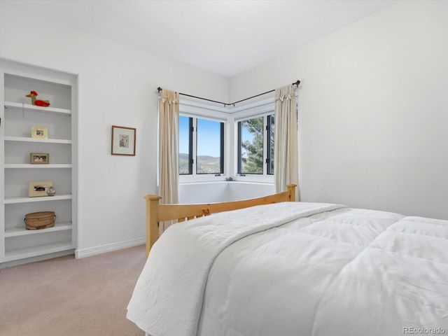 290 Skyhill Dr, Evergreen, CO 80439