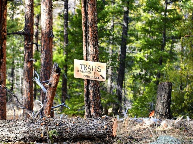 290 Skyhill Dr, Evergreen, CO 80439