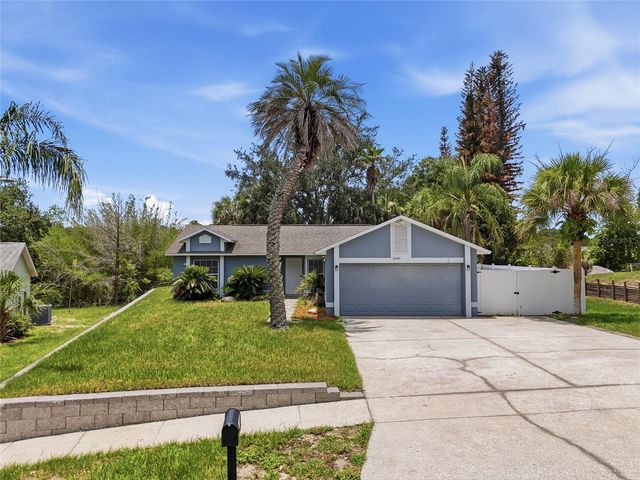10641 LAKE RALPH DRIVE, Clermont, FL 34711