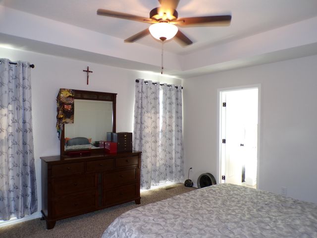 517 N Stella Court, Willard, MO 65781