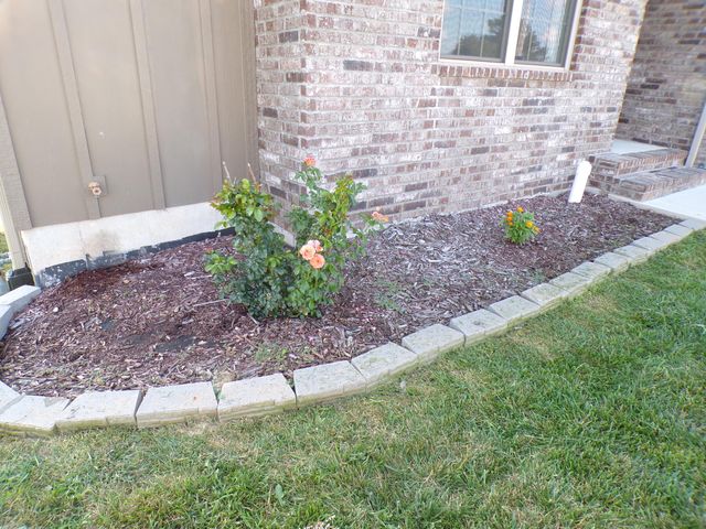 517 N Stella Court, Willard, MO 65781
