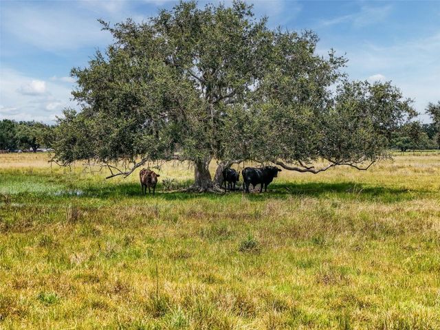 12950 RIVER ROAD, Myakka City, FL 34251