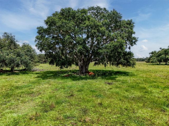 12950 RIVER ROAD, Myakka City, FL 34251